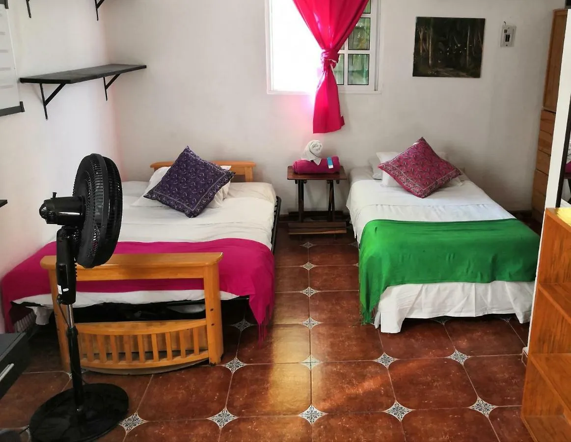 Casa Kini Cancunアパートメント